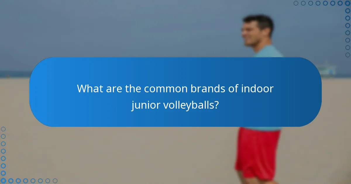 What are the common brands of indoor junior volleyballs?