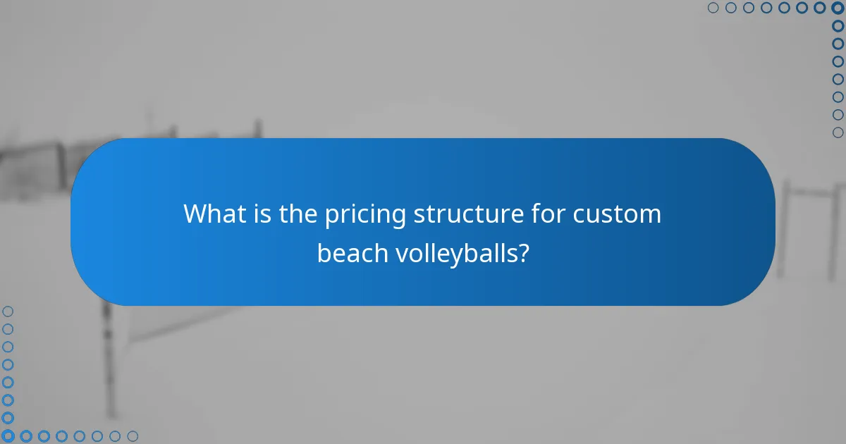 What is the pricing structure for custom beach volleyballs?