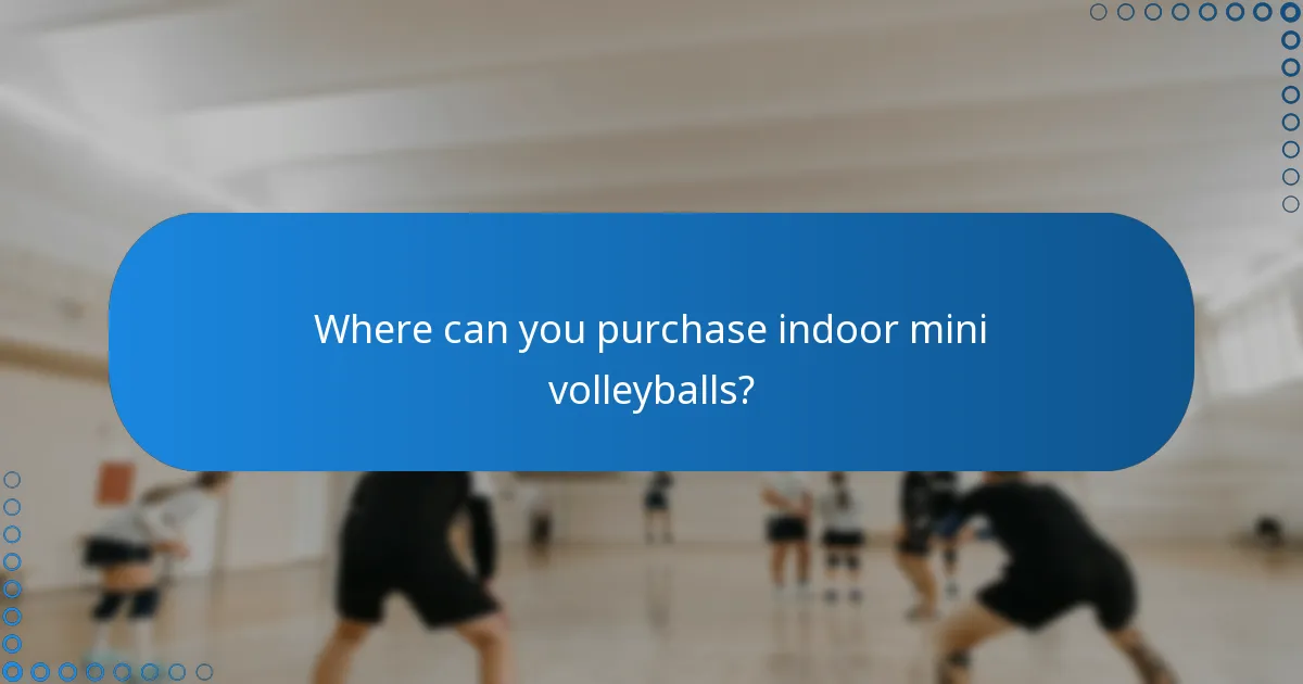 Where can you purchase indoor mini volleyballs?