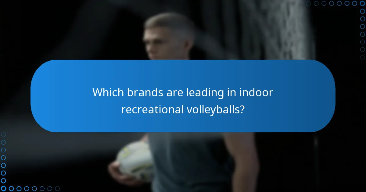 Which brands are leading in indoor recreational volleyballs?