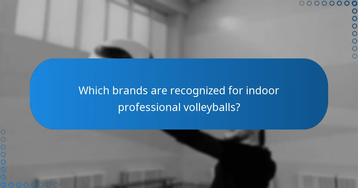 Which brands are recognized for indoor professional volleyballs?