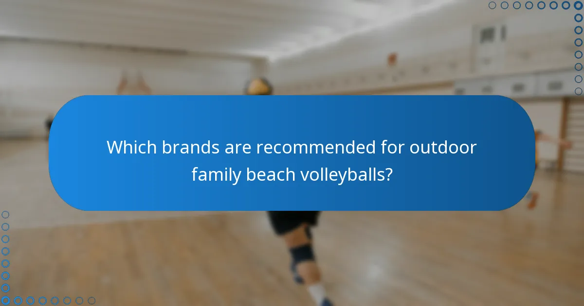 Which brands are recommended for outdoor family beach volleyballs?