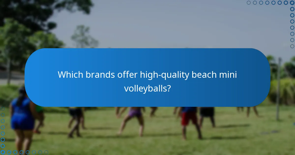 Which brands offer high-quality beach mini volleyballs?