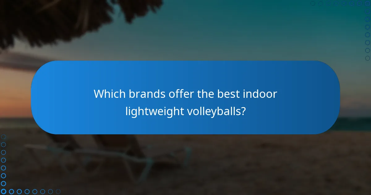 Which brands offer the best indoor lightweight volleyballs?
