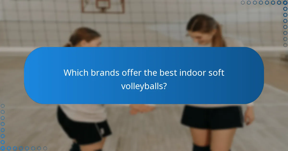 Which brands offer the best indoor soft volleyballs?