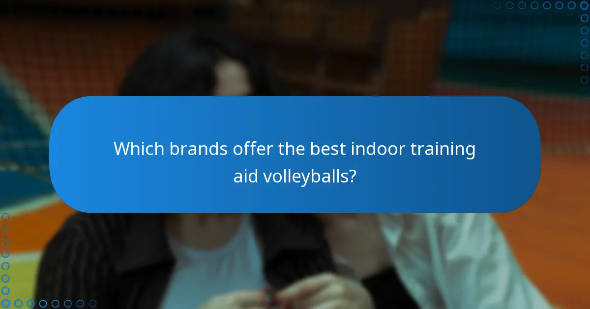 Which brands offer the best indoor training aid volleyballs?