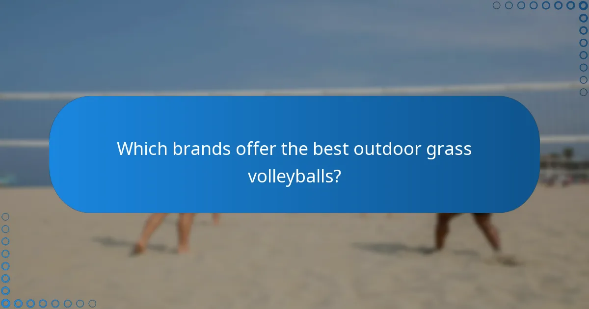 Which brands offer the best outdoor grass volleyballs?