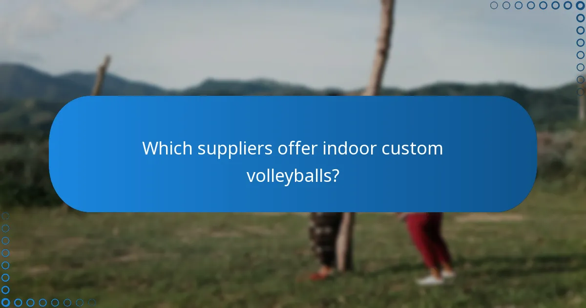 Which suppliers offer indoor custom volleyballs?