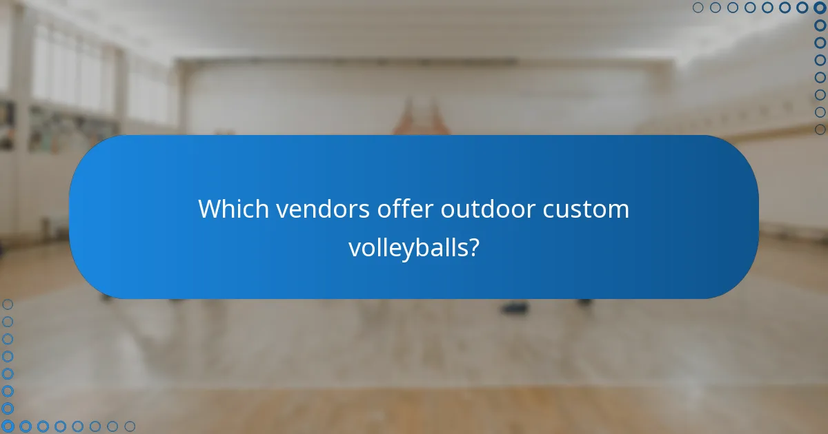 Which vendors offer outdoor custom volleyballs?